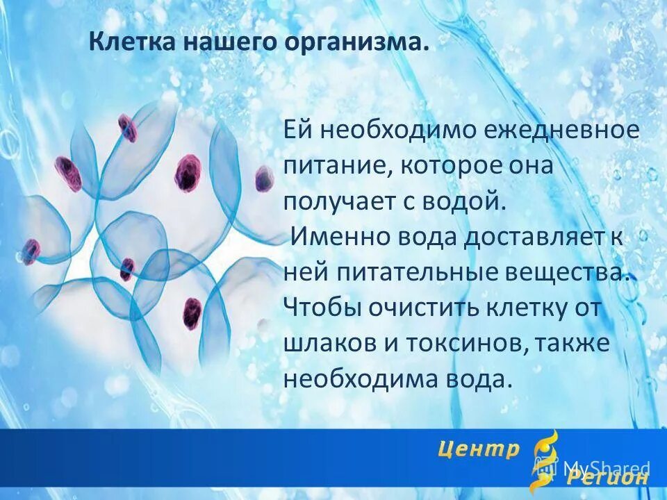 Энергия живых клеток организма. Клетки нашего организма. Вода в нашем организме.