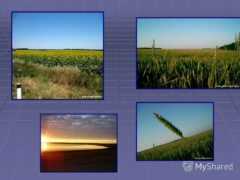 Рельеф краснодарского края презентация. Цахвоа высота. Рельеф краснодарского края 3 класс кубановедение. Цахвоа на карте краснодарского края. Формы рельефа краснодарского края.