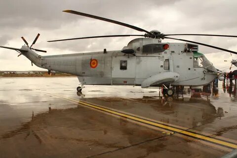 21 sea king
