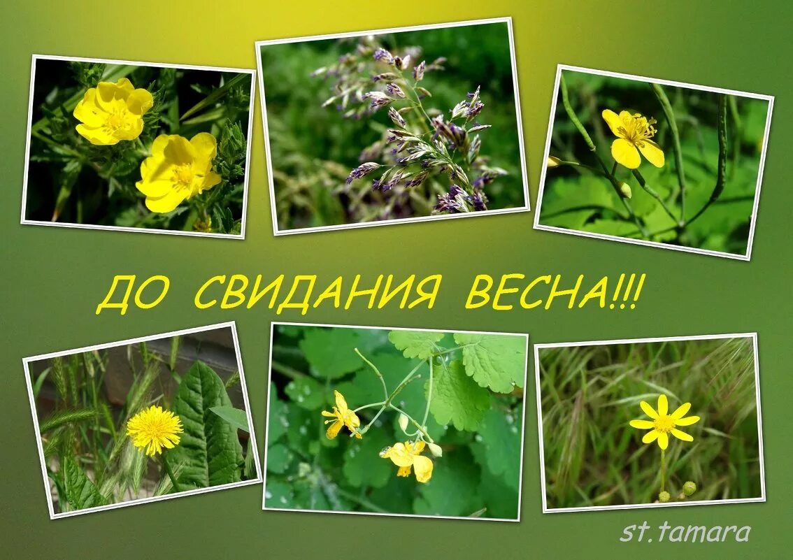 Влюбленные в весеннем саду. Встретимся этой весной. С последним днем весны завтра лето. Встретимся этой весной. Встретимся этой весной.