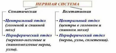 К соматическим признакам относятся. Тяжелые соматические болезни. Соматические проявления при депрессии. К соматическим признакам относятся. Соматопсихические расстройства.