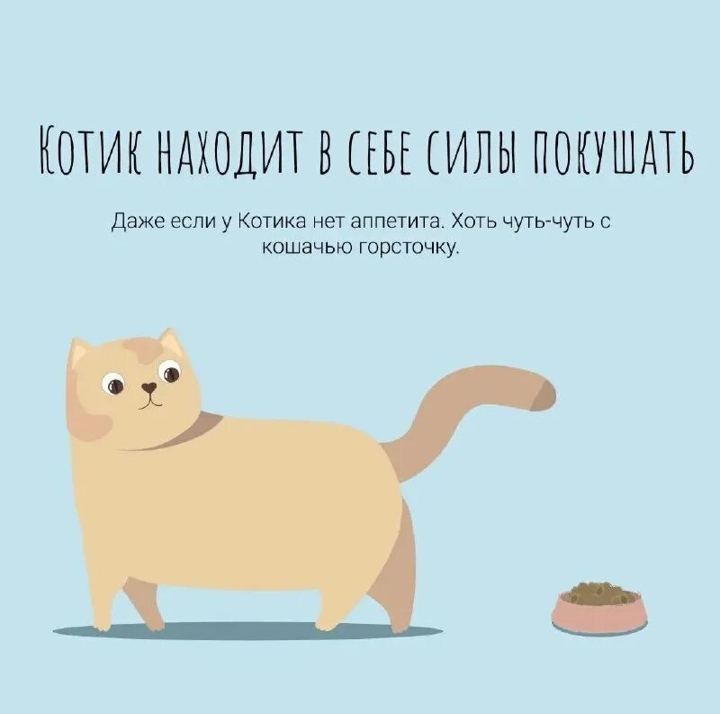 коте 1 час. злой серый кот. коте 1 час. кот и часы. коте 1 час.