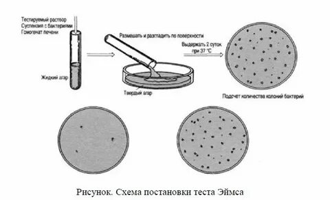 Тест для постановки