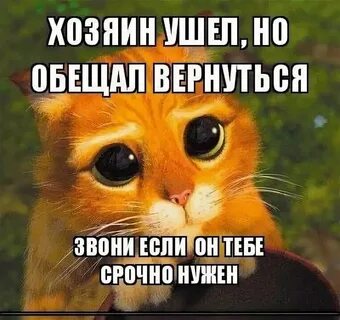 Песни я обещал вернуться