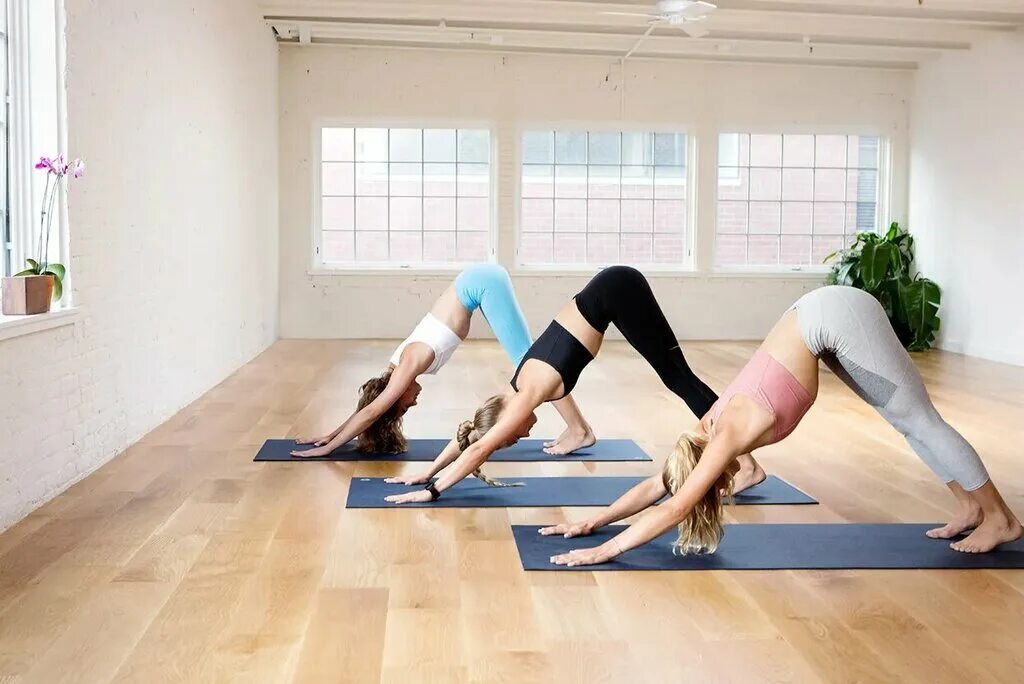 Занятия пилатесом. Up2yoga. Йога картинки. Йога пилатес. Фитнес йога.
