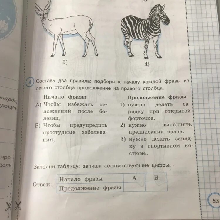 Составь два правила Подбери к началу каждой фразы из левого столбца. Составь 2 правила Подбери к началу каждой фразы из левого столбца. Составь 2 правила Подбери к началу каждой фразы из. Подбери к началу каждой фразы. Подбери к началу каждой фразы соответствующее продолжение