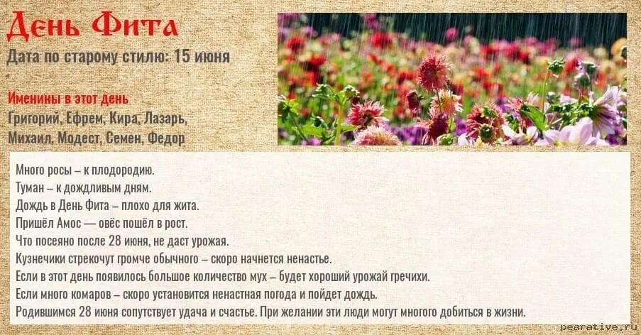 День фита 28 июня картинки с надписями. День фита в народном календаре. День фита и амоса. 28 июня день. Народный календарь.