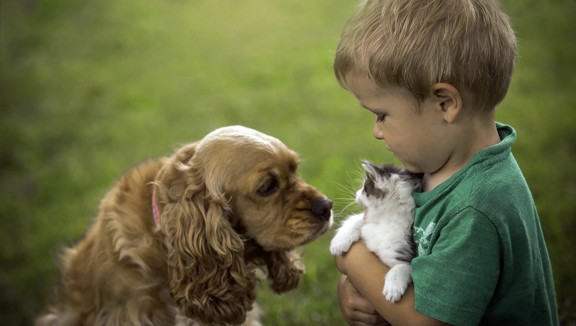 Для детей. Животные. Доброта к животным. Дети и животные доброта. Любовь к животным.