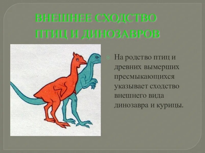 Древним пресмыкающимся является. Расходство птиц и пресмыкающихся. Сходство птиц и пресмыкающихся. Сходство динозавров и птиц. Древние пресмыкающиеся.