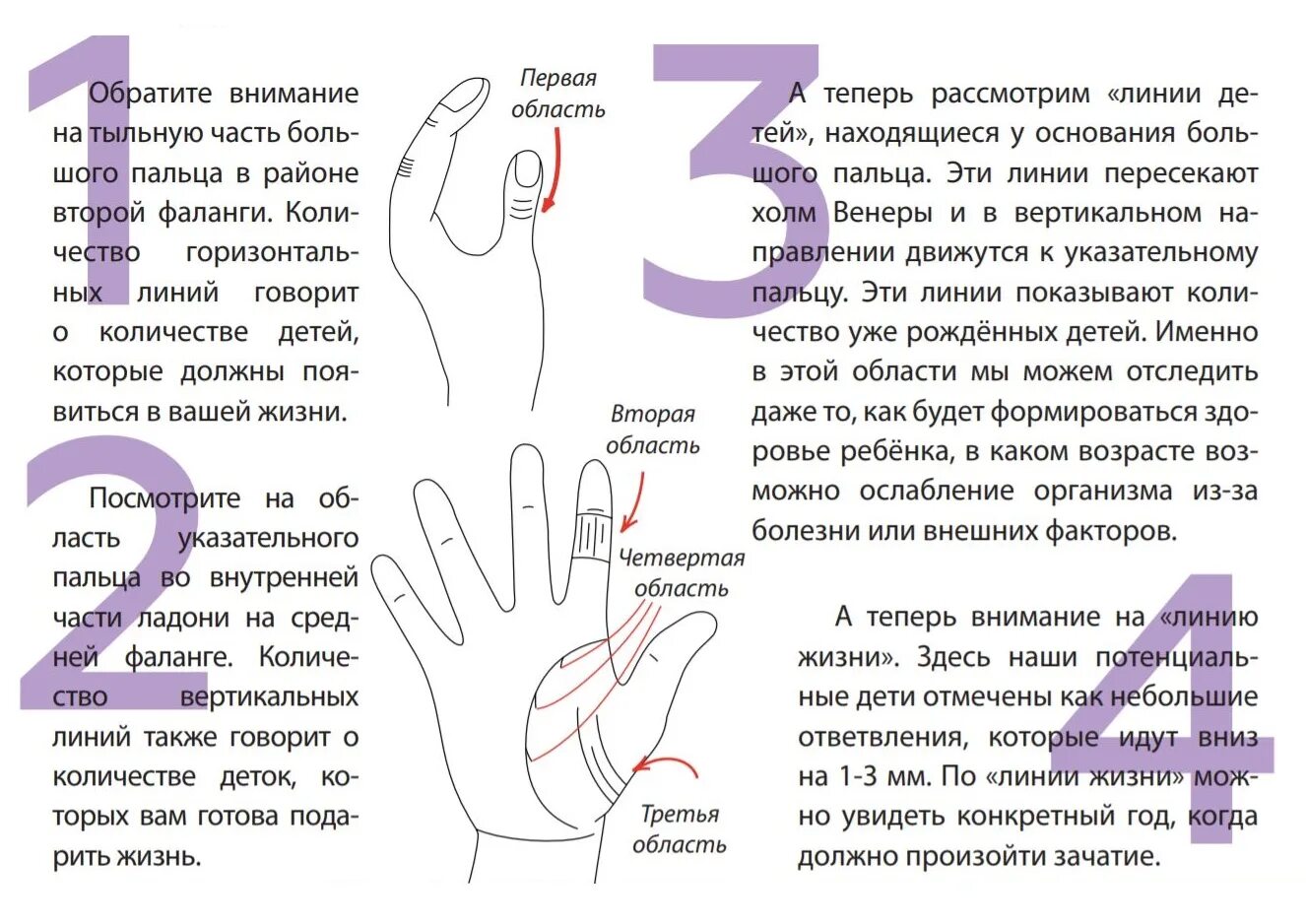 Определить человека по руке