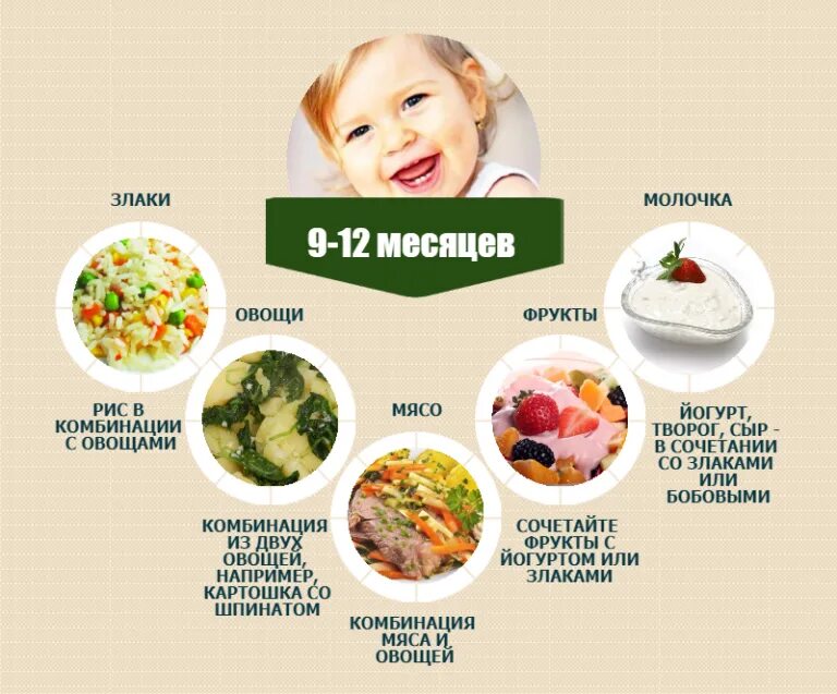 Что можно ребенку в 9 месяцев кушать. Рацион питания ребёнка в 10 месяцев. Питание ребёнка в 11 месяцев меню. Питание ребёнка в 12 месяцев меню. Примерный рацион питания ребенка 10 месяцев.