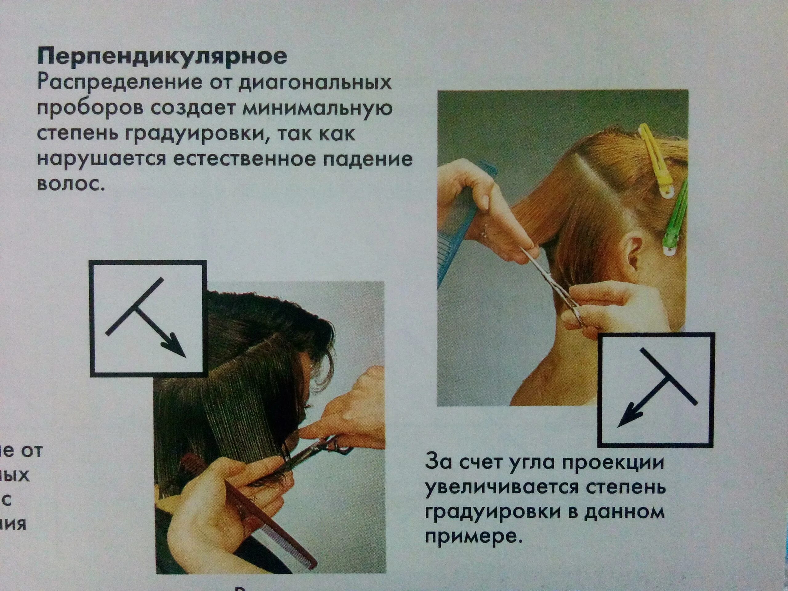 Что значит градуировать