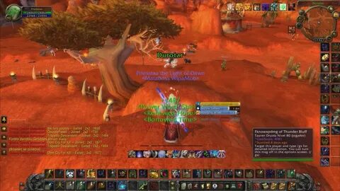 Pallypower для wow 3.3 5 a sirus