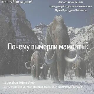 Человек не мамонт не вымрет никогда песня