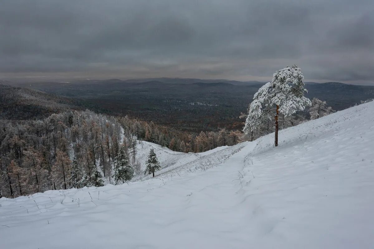 Гора егоза кыштым. Гора егоза горнолыжный. Гора егоза горнолыжный. Егоза горнолыжный курорт кыштым. Гора егоза горнолыжный.