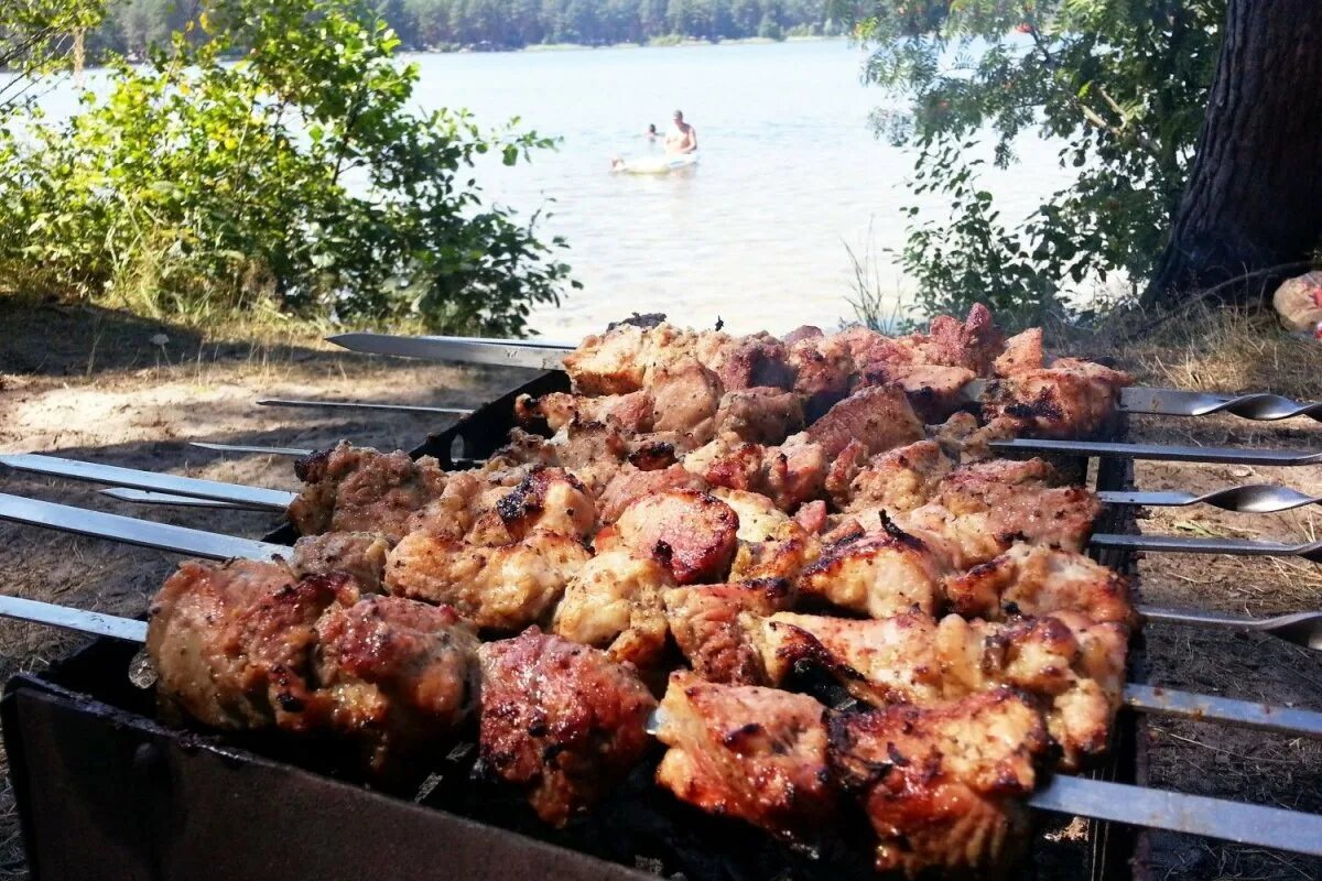 Шашлык кумертау. Мцвади хоровац. Шашлыки на природе. Шашлыки на природе летом. Шашлыки на даче.