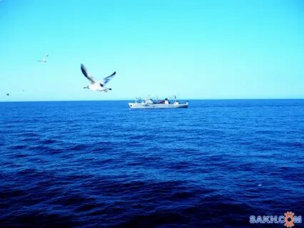 Увидеть в дали морской