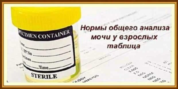 Нормы мочи у взрослых таблица Анализ крови биохимический общий расшифровка у взрослых норма в таблице фото P