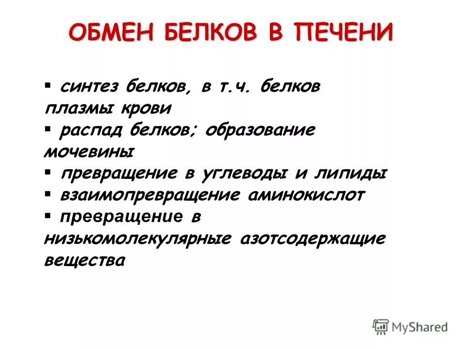 Обмен белков в печени. Синтез белков в печени. В печени синтезируются белки. Синтез белков плазмы крови.