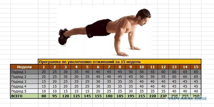 Норма отжиманий для мужчин. Отжимания подходы. Отжимания по неделям. Программа отжиманий. Схема отжиманий от пола.
