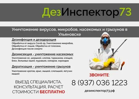 Дезинсекция прайс