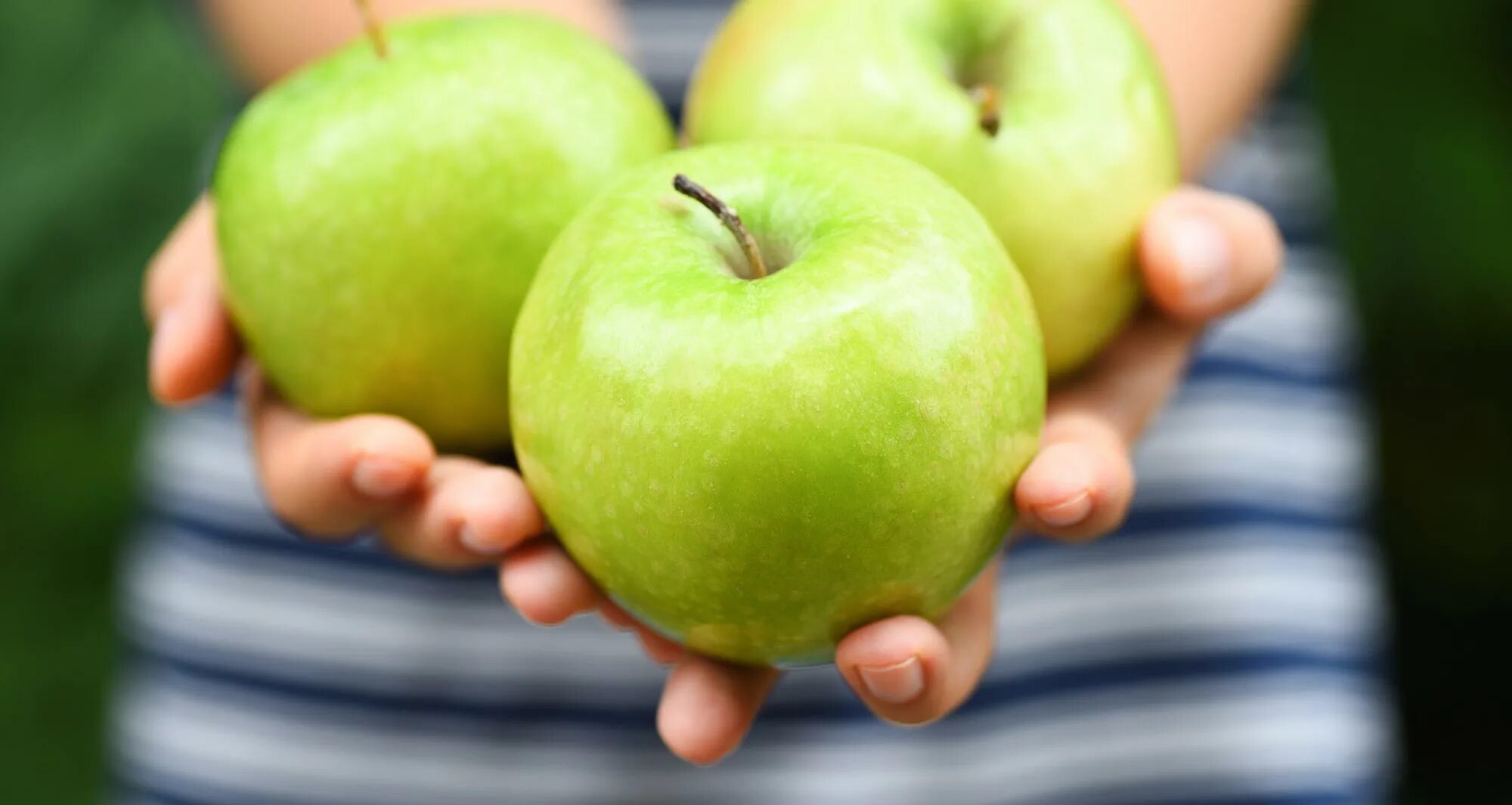 Почему появляется яблоко. Зеленое яблоко в руке. Яблоки зеленые. Спорт яблоко. Яблоко после еды.
