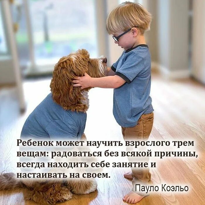 В том чтобы научить людей. Цитаты про детей. ребенок может научить взрослого трем вещам. ребенок может научить взрослого. высказывания о взрослых детях.