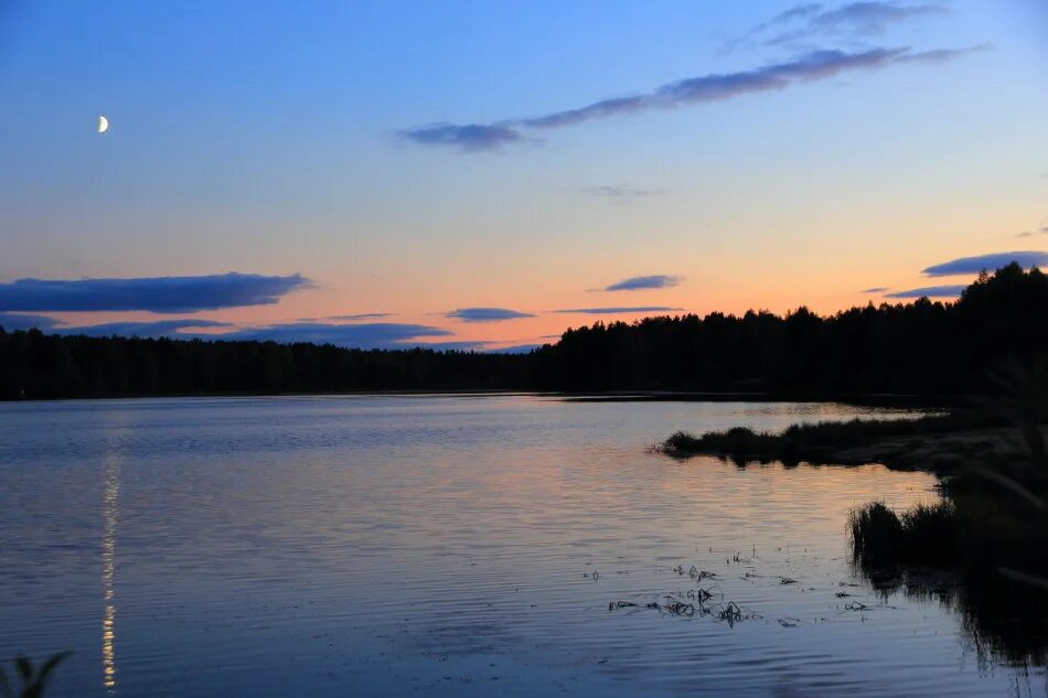 осень рано темнеет. рано темнеет. рано темнеет. лето темнеет. березы ночью.