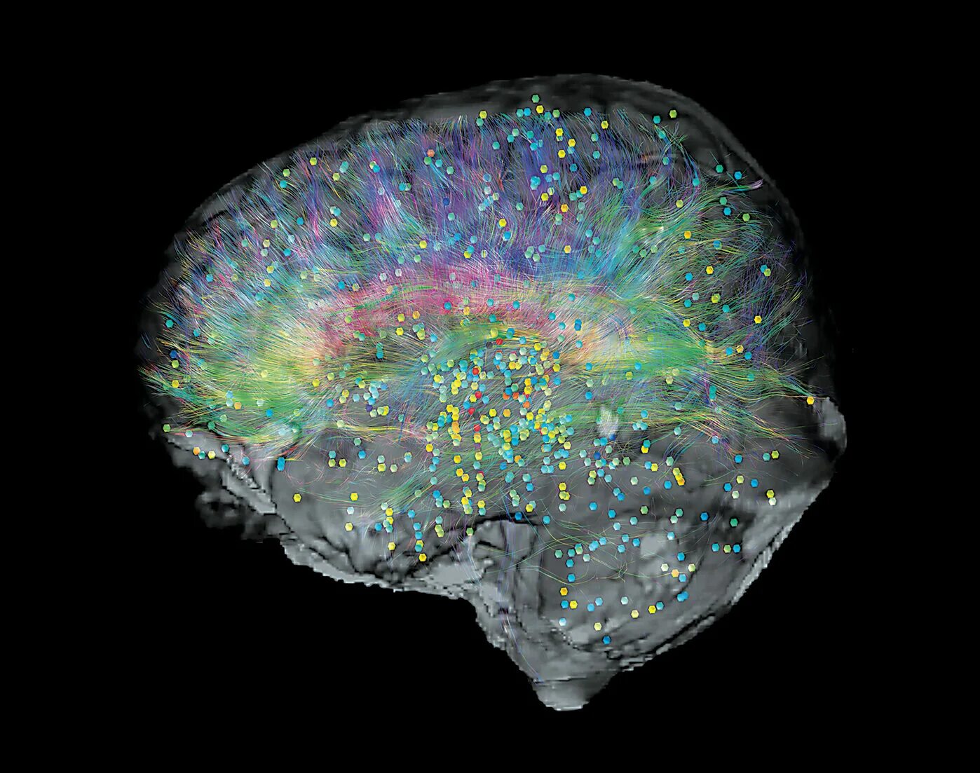 Brain Maps. Генетика мозга человека. Allen Institute for Brain Science. Brain Mapping. Brain карта