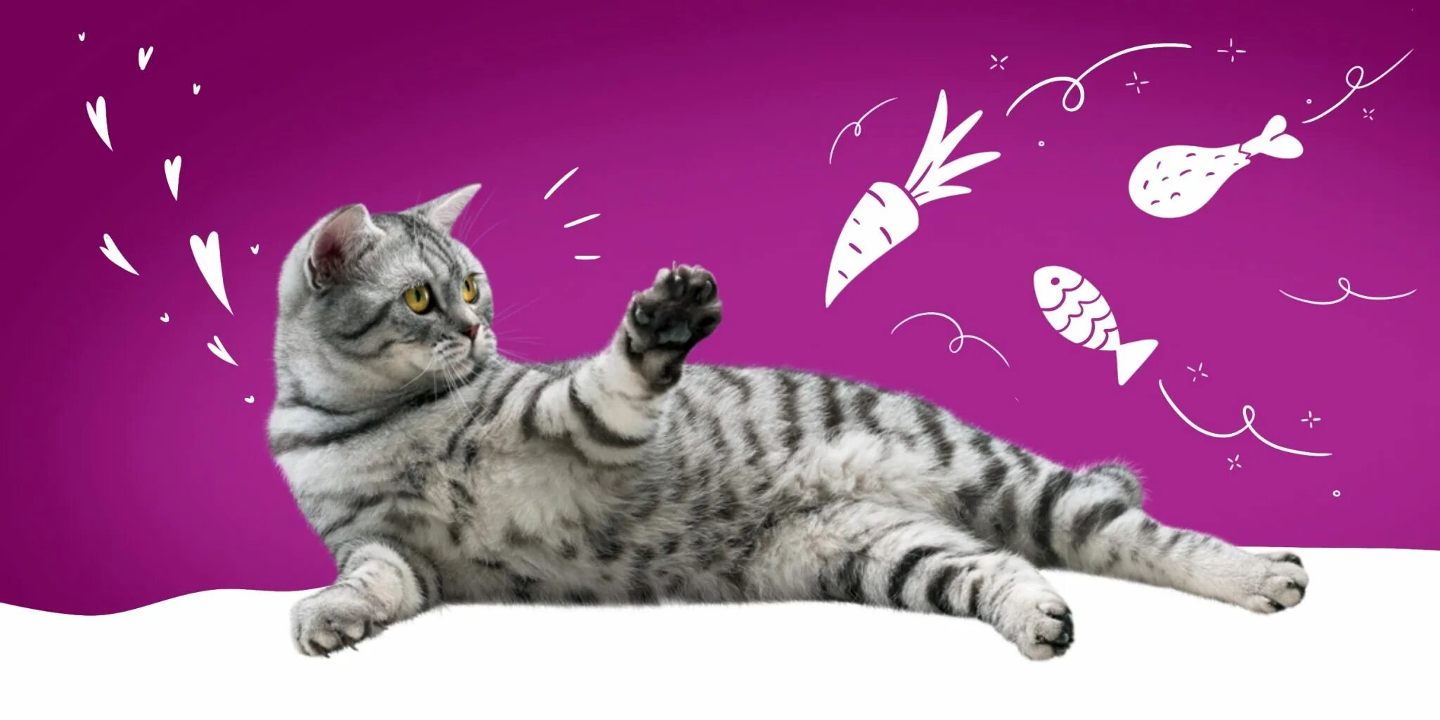 Кошка вискас. Реклама вискас. Кошка из рекламы вискас. Картина вискаса. Музыка из рекламы вискас