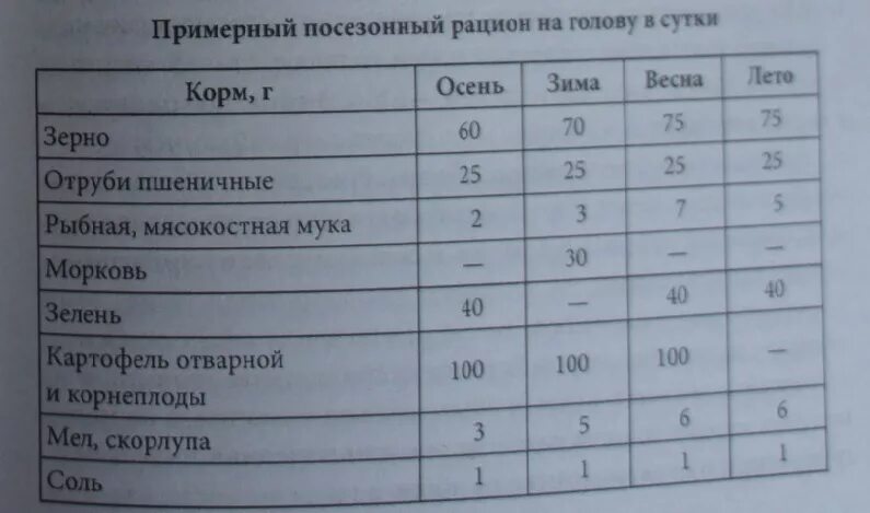 Сколько грамма на 1 курицу. Суточные нормы кормления кур несушек. Рацион кормов для кур несушек. Рацион корма для кур несушек в сутки. Норма корма для курицы несушки в сутки.