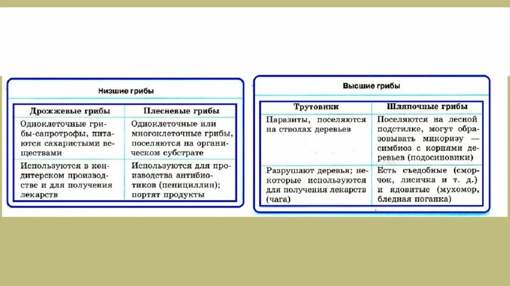 Царство грибы ОГЭ. Грибы ЕГЭ биология. Царство грибов ОГЭ. Грибы ЕГЭ. Грибы биология огэ