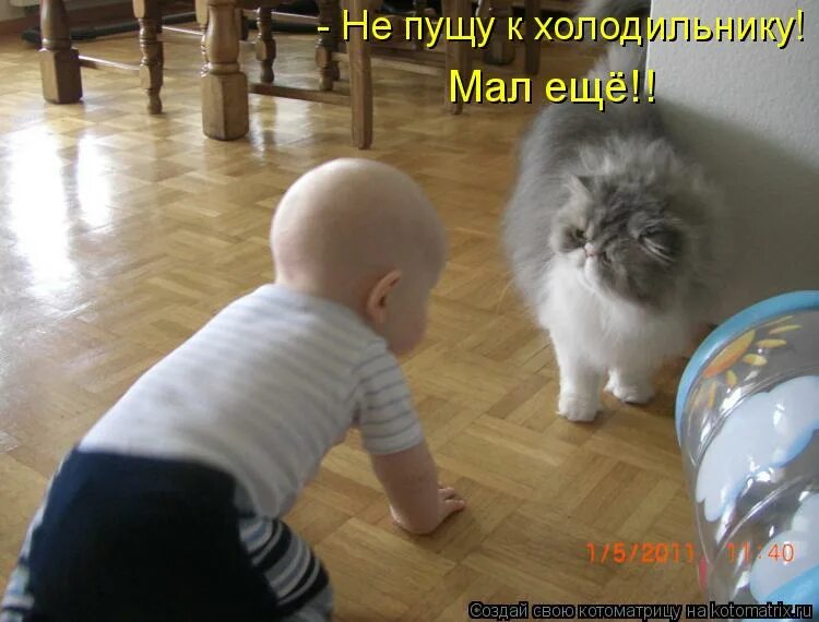 веселые животные с надписями. доброта картинки. а можно еще нет маленькая. а можно еще нет маленькая. растишка реклама прикол.