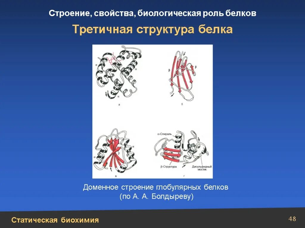 Биологическая роль и структура белка. Третичная структура глобулярных белков. Третичная структура белка биохимия. Доменная структура белков биохимия роль. Доменная структура белков биохимия.