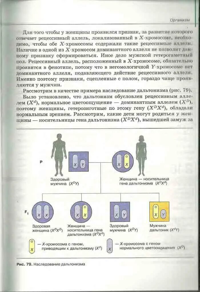 Биология 10 класс читать сивоглазов. Биология 10 класс учебник. Учебник Сивоглазова по биологии 10 класс. Учебник по биологии 10-11 класс Захаров Агафонова.