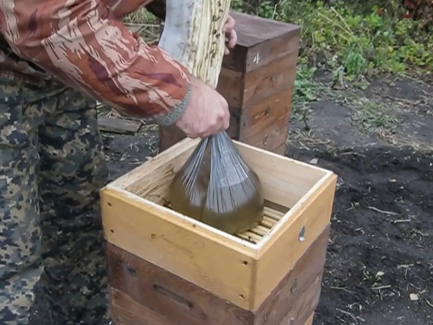 Хвойным пчел. Кормушка для пчел. Кормушка для пчёл потолочная. Кормушка для пчел для сиропа. Кормушка для подкормки пчел.