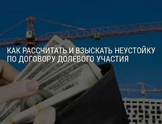 Мораторий на взыскание неустойки с застройщика 2024. Взыскание неустойки с застройщика. Неустойка по ДДУ. Юристы взыскание неустойки по ДДУ. Услуги по взысканию неустойки с застройщика.