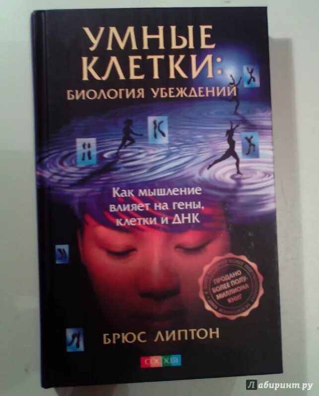 Брюс липтон клетка. Липтон брюс &quot;биология веры&quot;. брюс липтон книги. брюс липтон умные клетки. биология веры книга.