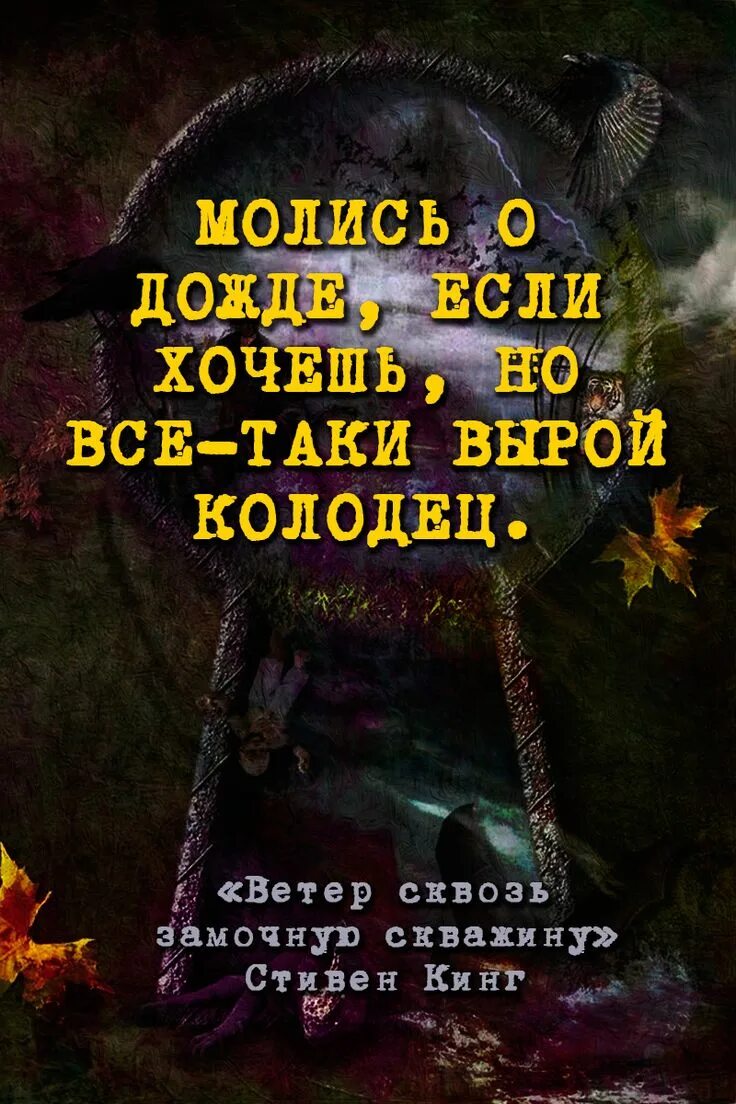 Ветер сквозь замочную. Афоризмы Стивена Кинга. Тёмная башня 4.5. Ветер сквозь замочную скважину.