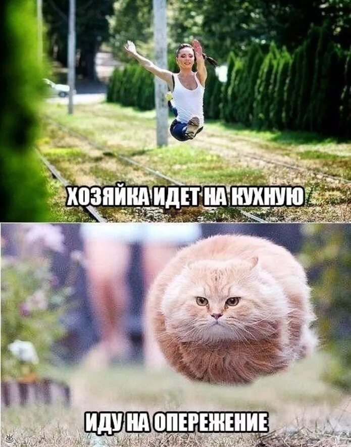 Прикольные картинки ржачные до слез