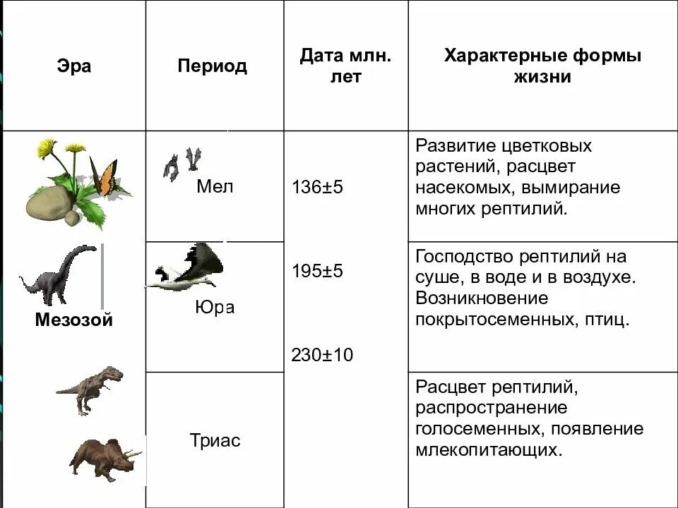 Этапы развития жизни биология таблица. Таблица по биологии основные этапы развития жизни. Таблица по биологии 9 класс этапы развития жизни. Этапы возникновения жизни таблица биология.