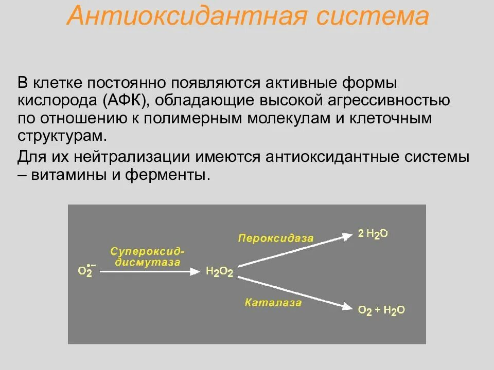 Антиоксидантные ферменты. Система антиоксидантной защиты организма. Система антиоксидантной защиты функции. Неферментная антиоксидантная система. Системы антиоксидантной защиты клетки.