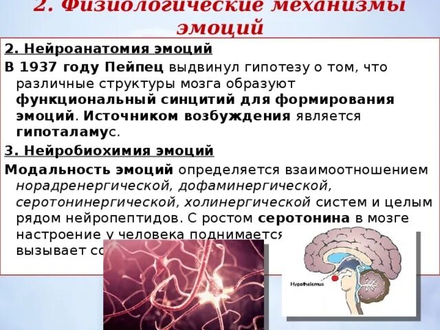 Физиологические основы эмоций. Участие гипоталамуса в формировании эмоций и мотиваций. Вегетативные проявления эмоций. Физиологические механизмы возникновения эмоций и чувств. Физиологические основы эмоций схема.