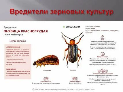 Список вредных организмов