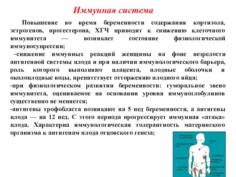 Физиологические изменения беременной. Изменения иммунной системы при беременности. Физиологические изменения иммунной системы при беременности. Изменение иммунной системы у беременной женщины. Особенности иммунной системы беременных.