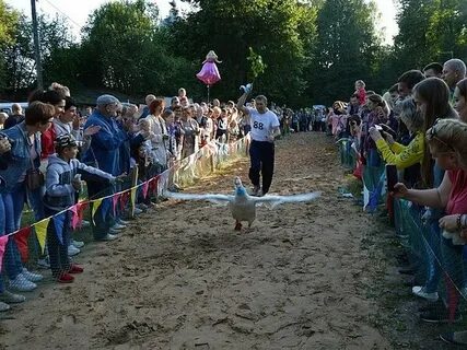 День гуся железного