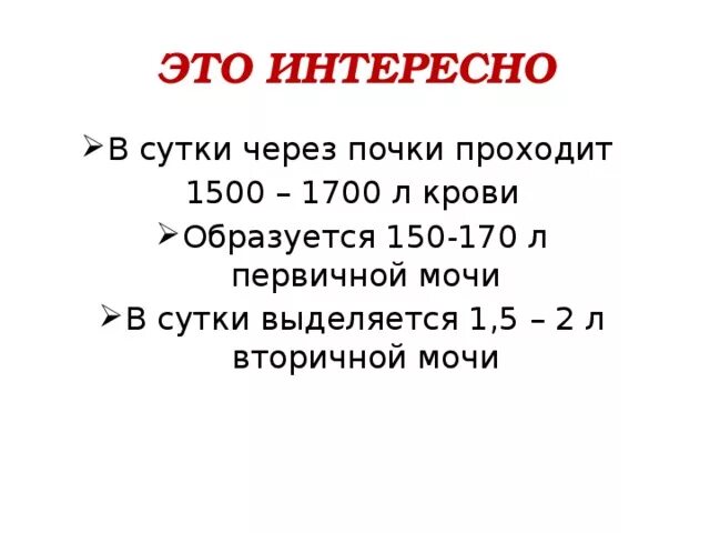 За сколько проходят почки. Сколько крови проходит через почки. Сколько литров крови проходит через почки. Первичной мочи в сутки образуется. Сколько проходит через почки.