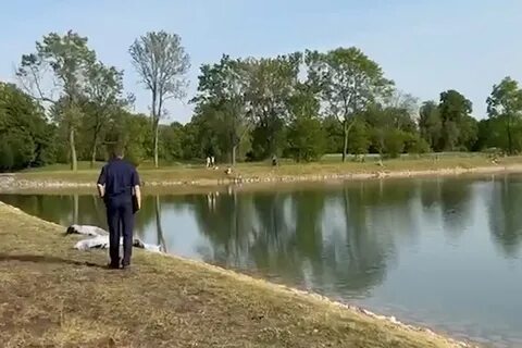 Случай в пруду