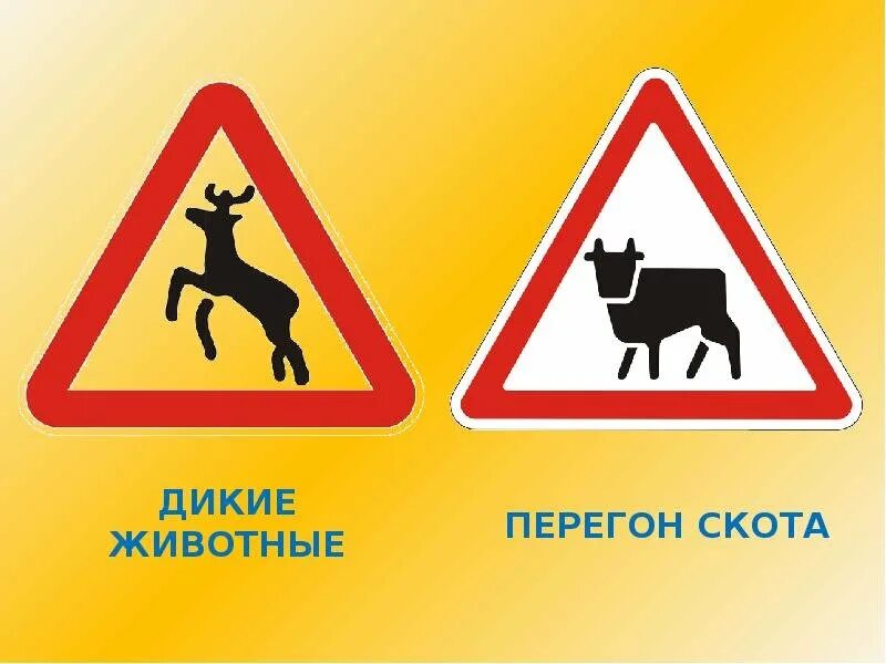 Выход зверей