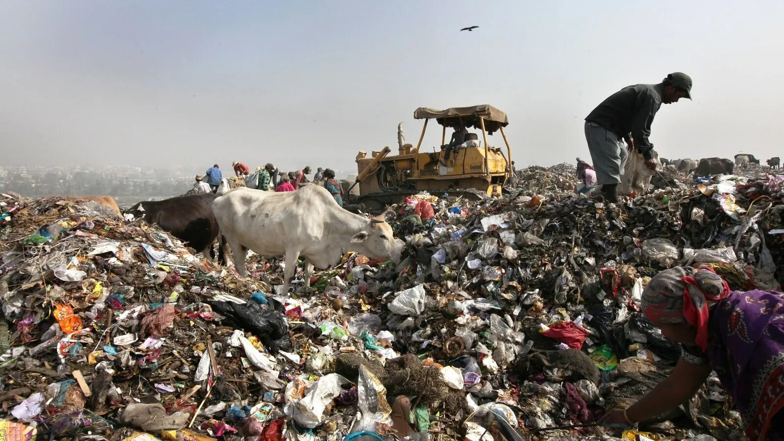 Garbage wastes
